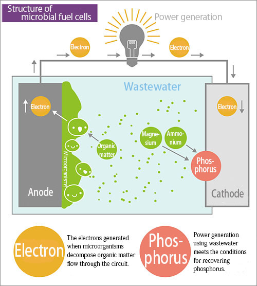 dissertation on microbial fuel cells