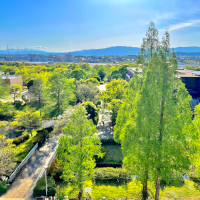 岐阜大学と緑
