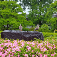 生き物たちの集いの場