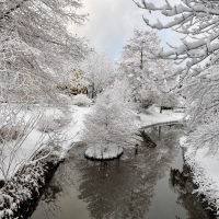 大雪