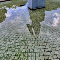 丸池越しの世界