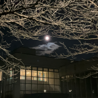 14th moon