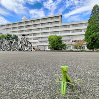共棲Ⅲ
