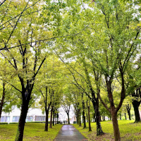GReeeeN Paradise