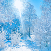 雪化粧