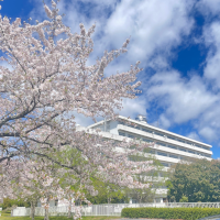 春日和