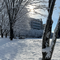 新雪