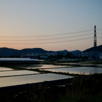 田水張る