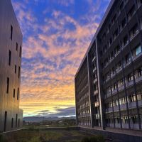 夏の黄昏、医学部棟