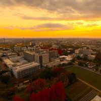 鷭ヶ池（ばんがいけ）から見る夕焼けキャンパス