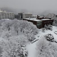 夜に向かって雪が降り積もると【副学長賞】