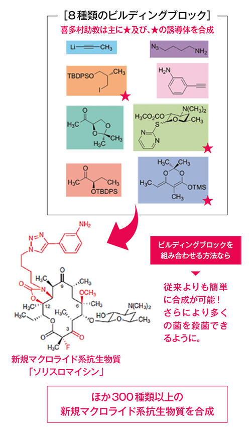 天然 の 抗生 物質