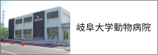 岐阜大学動物病院