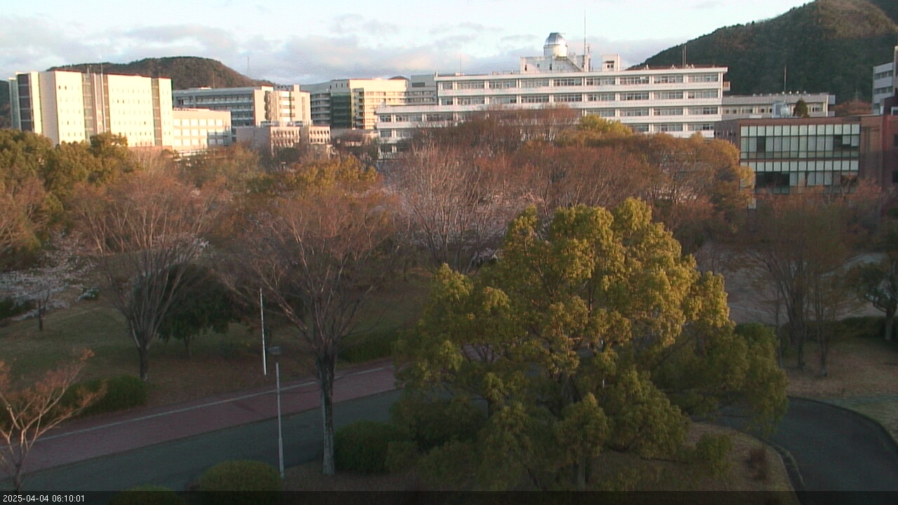 国立大学法人北海道大学