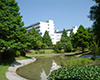 Eye-catching image for Faculty of Applied Biological Sciences