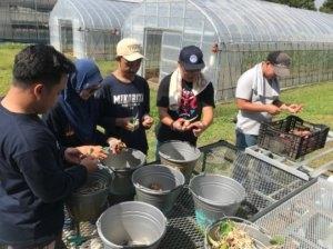 Training at the Yanagido Farm