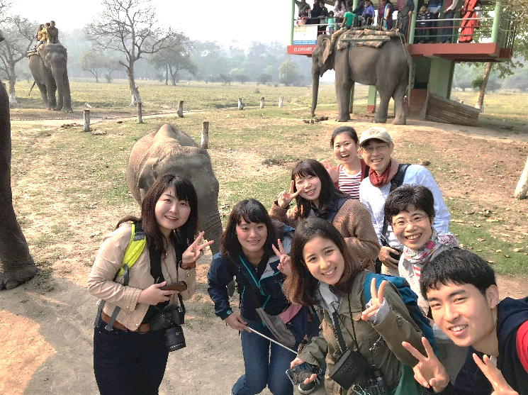 At a rhino national park