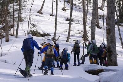 岐阜大学位山演習林 公開講座「～冬の森を歩こう～」のご案内のサムネイル