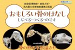 岐阜県博物館・岐阜大学・名古屋大学博物館連携企画展『おもしろい骨のはなし　しらべる・つくる・のこす』　開催のご案内のサムネイル