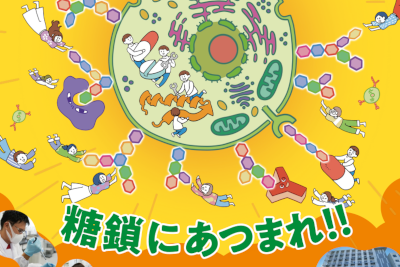 糖鎖生命コア研究所（iGCORE）大学院生・博士研究員募集説明会のご案内のサムネイル