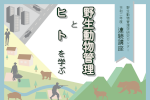 【連続講座】「野生動物管理とヒトを学ぶ」のご案内