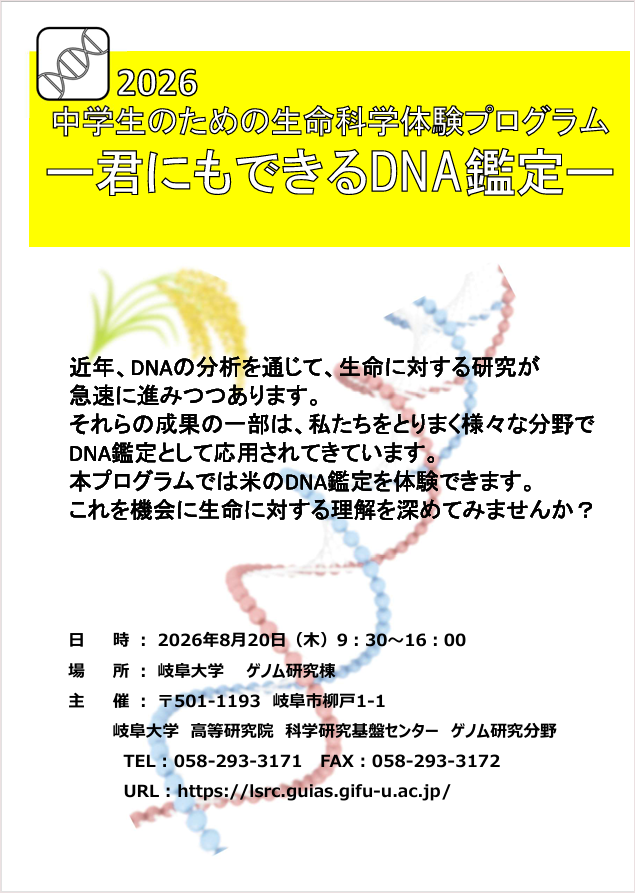 チラシ