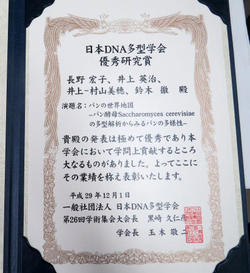 Award certificate