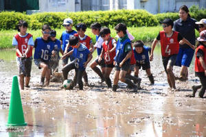 泥んこになってボールを追いかける子どもたち