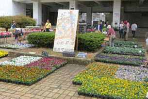 園芸研究室による花卉の販売