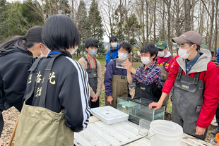 水辺の生態系調査