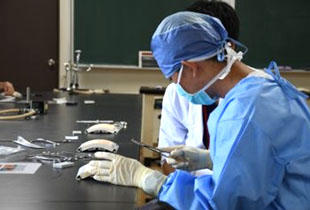 応用生物科学部(共同獣医学科)の様子