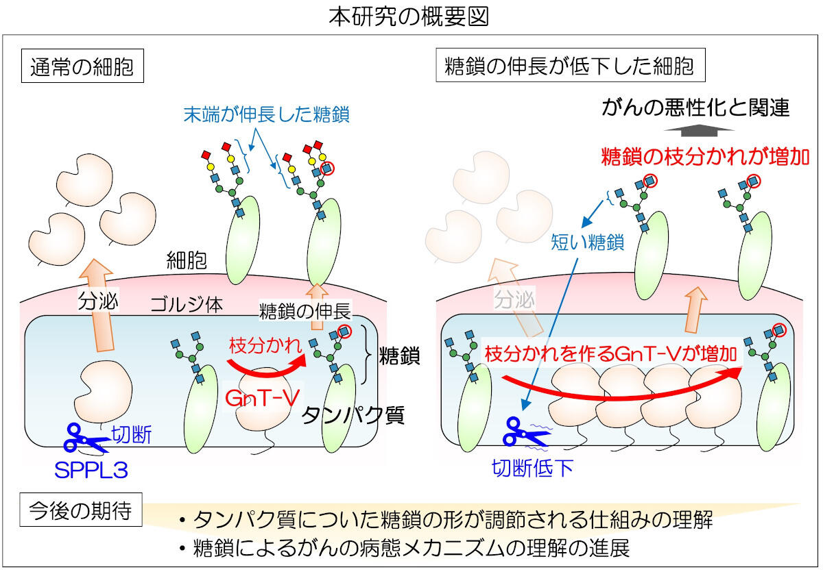 【中古】 「怒り」の正体 精神医学からみた「怒り」の構造とその制御について/バジリコ/和田秀樹（心理・教育評論家） 精神力動的精神医学 第5版―その臨床実践 | G.O.ギャバ―ド, 奥寺