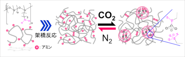 “空気を読んで”、性質を変化させるポリマー材料 ～ＣＯ２に応答して劇的にタフになるエラストマーを実現～