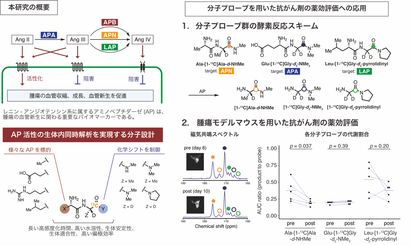 研究の概要
