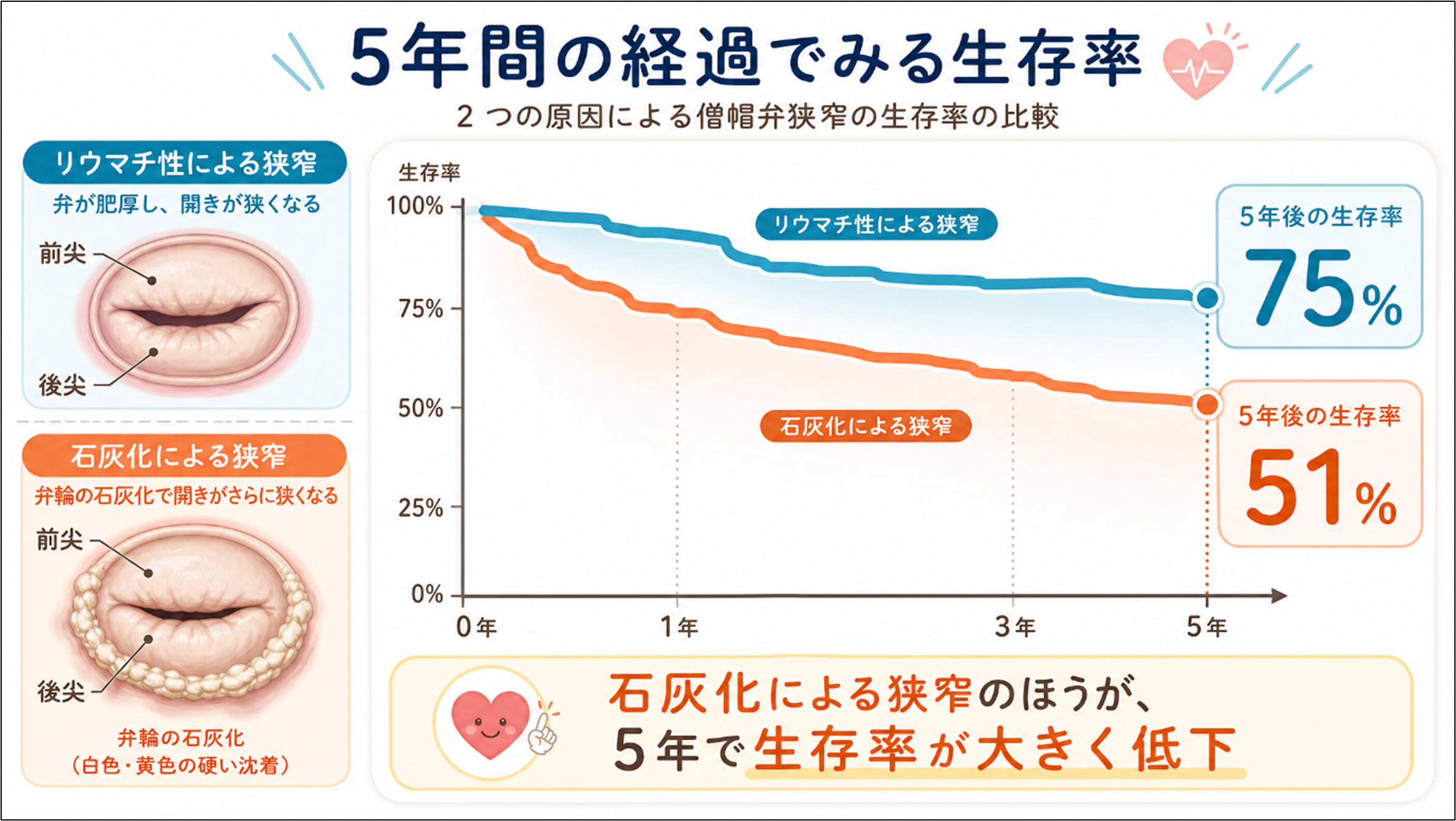 研究概要