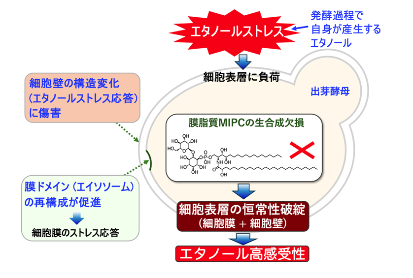 概要図