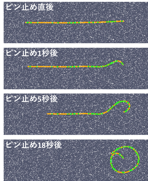 250618samune_Nitta.png