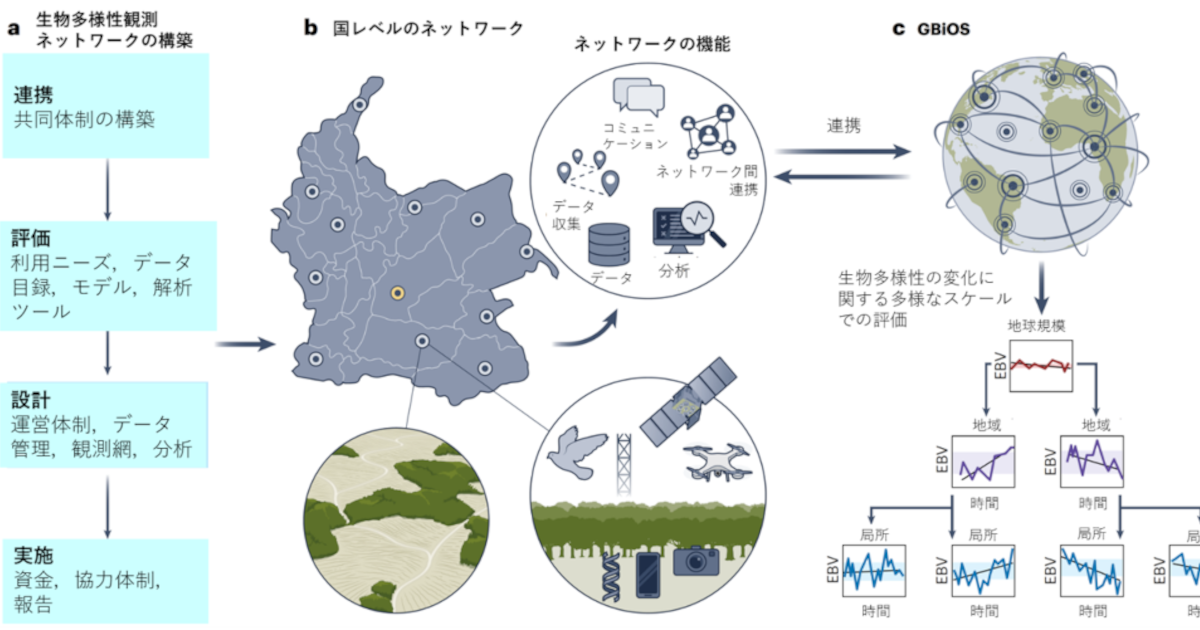 地域から生まれる公共性: 公共性と共同性の交点 (MINERVA社会学 Amazon.co.jp: 地域から生まれる公共性: 公共性と共同性の交点