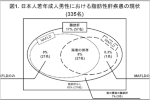 若年成人男性における脂肪性肝疾患と体組成の関係を解明 -肥満者と非肥満者の病態の違いに着目-