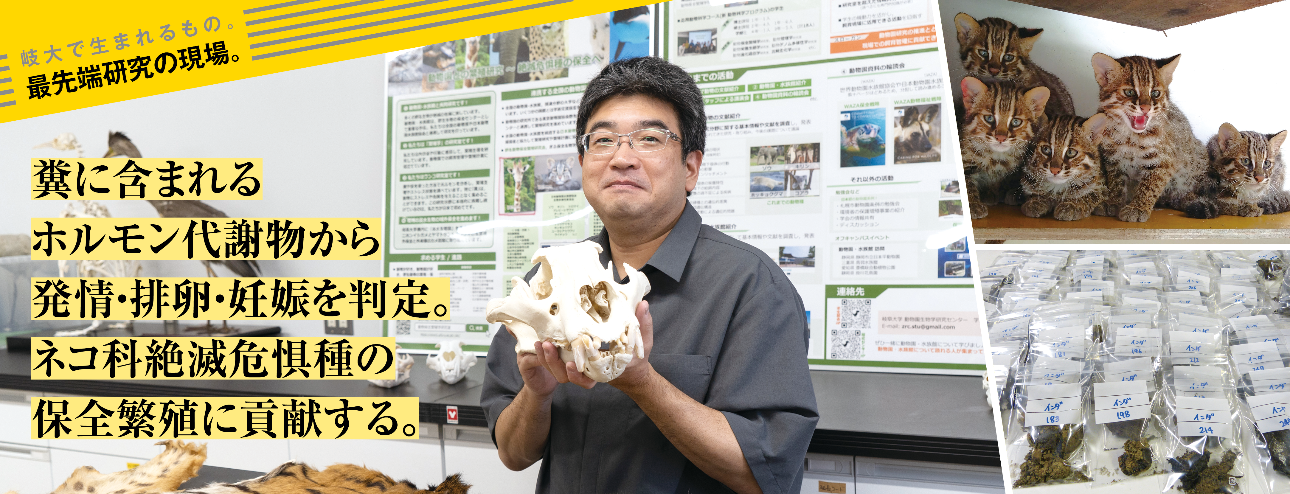 最先端研究の現場