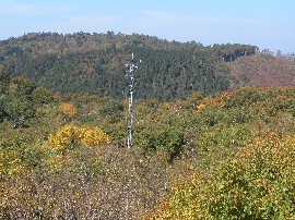 CO２観測タワー（高山試験地）
