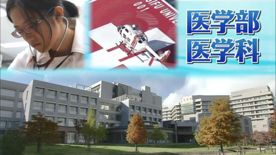 医学部医学科