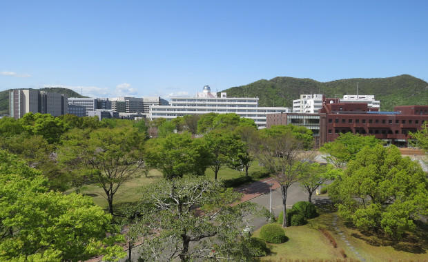 大学紹介の画像